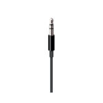 Apple Lightning to 3.5 mm Audio cable (Black) - Image 4