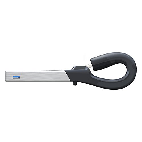 SanDisk iXpand 32GB Flash Drive